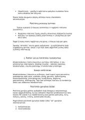 Savianalizė ir ﻿temperamentas 2 puslapis