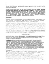 Antikinė filosofija 2 puslapis