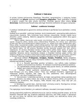 Antikinė filosofija 5 puslapis