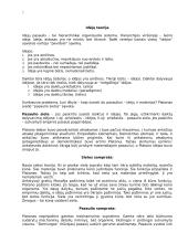 Antikinė filosofija 7 puslapis