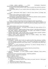 Vaikų, pasižyminčIų autizmo sindromu, ugdymas 6 puslapis