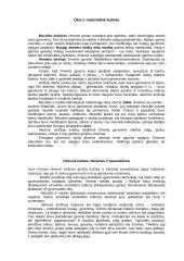 Baltai. Pagonių tikėjimas 2 puslapis