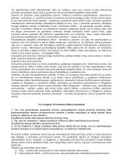 Teorija baudžiamosios teisės egzaminui 13 puslapis