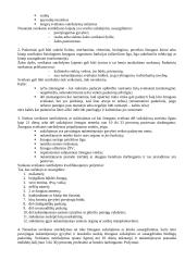 Teorija baudžiamosios teisės egzaminui 18 puslapis