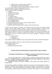 Teorija baudžiamosios teisės egzaminui 19 puslapis