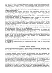 Teorija baudžiamosios teisės egzaminui 9 puslapis