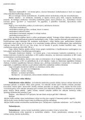 Geras pasiruošimas baudžiamosios teisės atsiskaitymui 8 puslapis