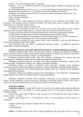 Geras pasiruošimas baudžiamosios teisės atsiskaitymui 10 puslapis