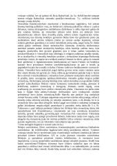 Išsami Bažnyčios istorija 5 puslapis