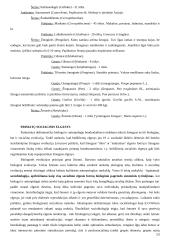 Bendroji antropologija ir antropogenezė 12 puslapis