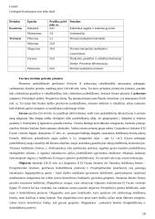 Bendroji antropologija ir antropogenezė 18 puslapis