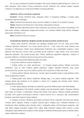 Bendroji antropologija ir antropogenezė 10 puslapis