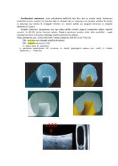 Bendros žinios apie siuvimo mašinas 11 puslapis