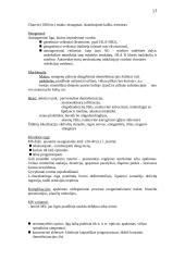 Centrinės nervų sistemos patologija 17 puslapis