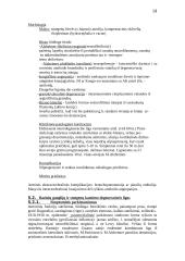 Centrinės nervų sistemos patologija 19 puslapis