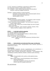 Centrinės nervų sistemos patologija 8 puslapis