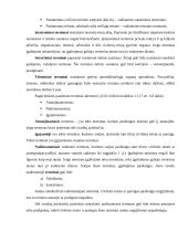 Civilinė teisė ir viskas apie ją 2 puslapis