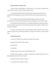 Civilinė teisė ir viskas apie ją 14 puslapis