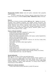 Civilizacijos samprata ir reikšmė 2 puslapis