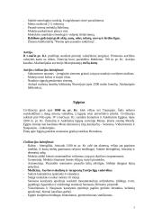 Civilizacijos samprata ir reikšmė 3 puslapis