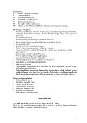 Civilizacijos samprata ir reikšmė 7 puslapis