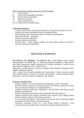 Civilizacijos samprata ir reikšmė 8 puslapis