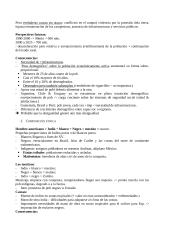 Civilización Latino Americana 17 puslapis