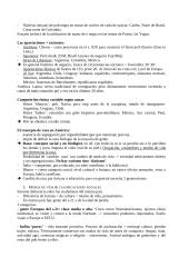 Civilización Latino Americana 18 puslapis