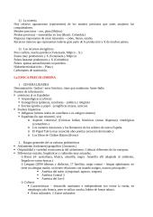 Civilización Latino Americana 3 puslapis