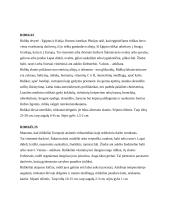 Daržovės ir gėlės 2 puslapis