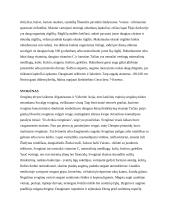 Daržovės ir gėlės 12 puslapis