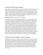 Daržovės ir gėlės 19 puslapis