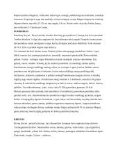 Daržovės ir gėlės 4 puslapis