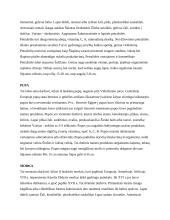 Daržovės ir gėlės 6 puslapis