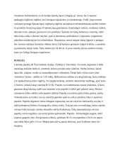 Daržovės ir gėlės 8 puslapis