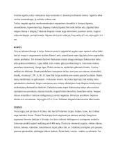 Daržovės ir gėlės 10 puslapis