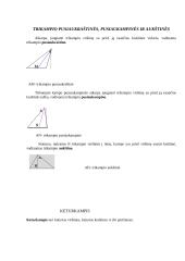 Daugiakampės figūros 5 puslapis