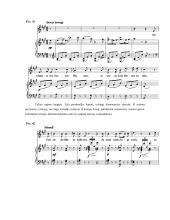 Francas Šubertas ir jo muzika 13 puslapis