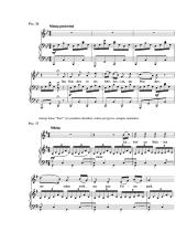 Francas Šubertas ir jo muzika 9 puslapis