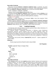 Paskalio procedūros 13 puslapis