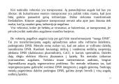Genų inžinerija 14 puslapis