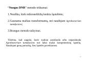 Genų inžinerija 17 puslapis