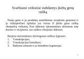 Genų inžinerija 19 puslapis