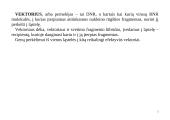 Genų inžinerija 5 puslapis