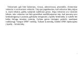 Genų inžinerija 7 puslapis