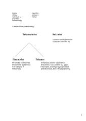 Geometriniai kūnai 4 puslapis