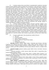 Gruntiniai vandenys 3 puslapis