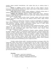 Gruntiniai vandenys 4 puslapis