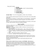 Heleninės civilizacijos romėniškasis laikotarpis 2 puslapis