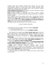 Ikikrikščioniška Lietuva 11 puslapis